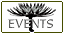 LIGHT events, etc.